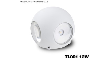 TL001 12W   LED WALL LAMP
