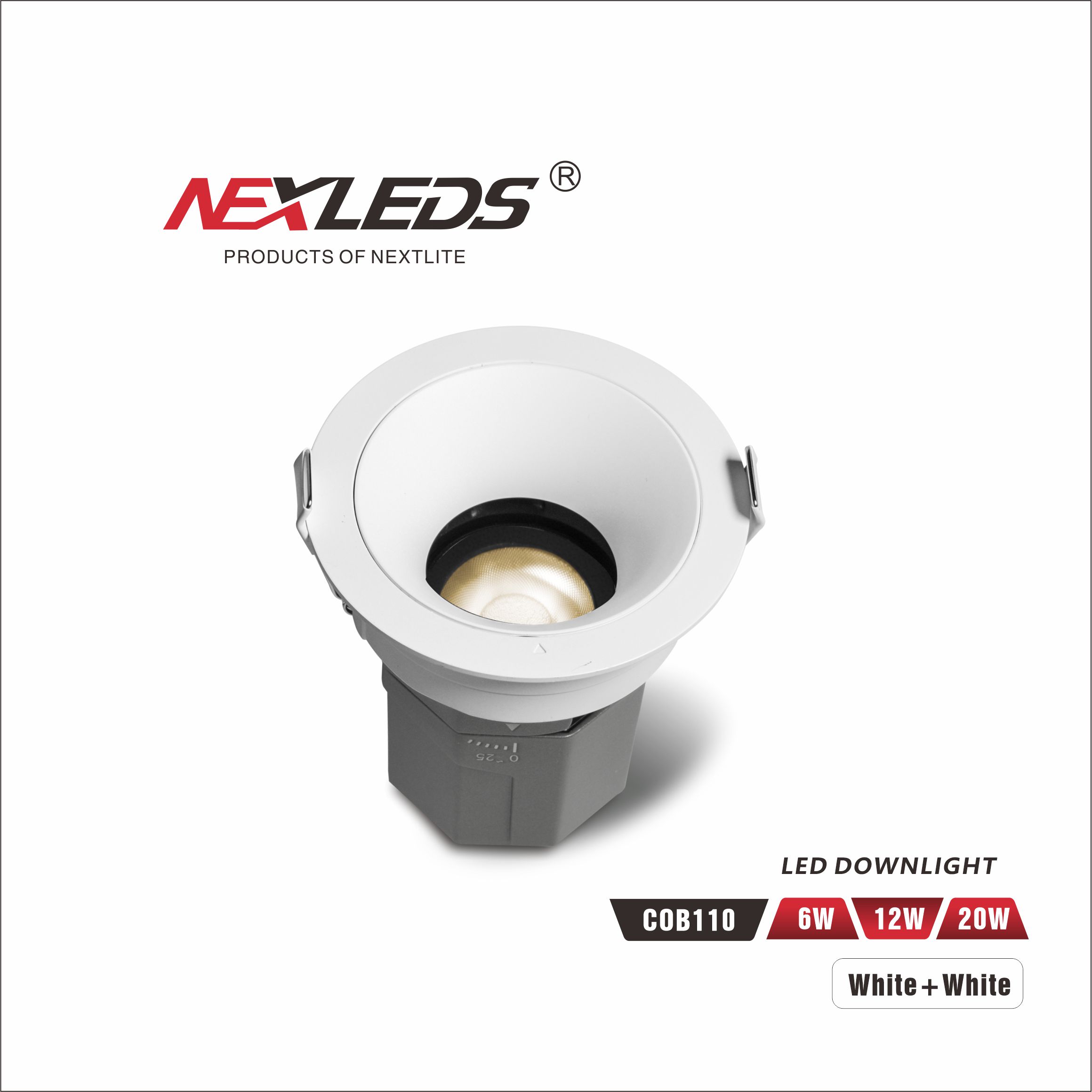 COB110 6W / 12W / 20W LED DOWNLIGHT IP65 3CCT